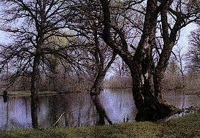 A nature reserve in Paliessie